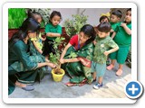 Various Event Gallery