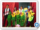 Various Event Gallery